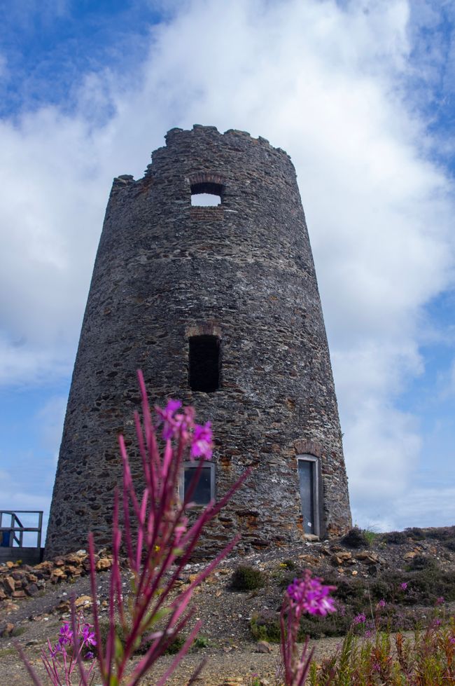 A circular stone tower with purple flower in front