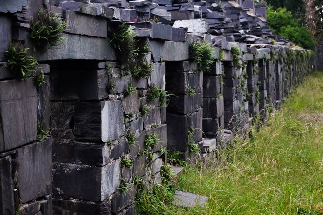 A row of houses along one side of the Barracks