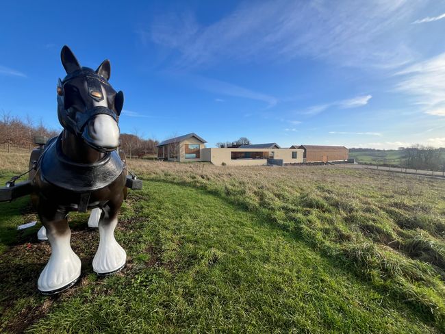 Windmill Hill Archive