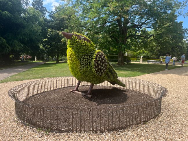 Rose Garden at Waddesdon Manor