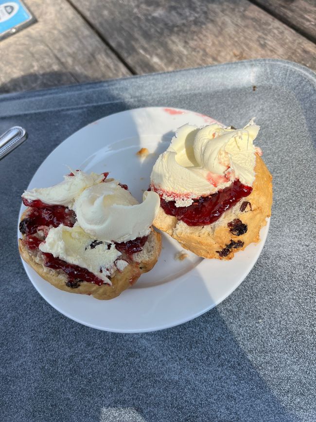Scone with Jam and cream on a tray