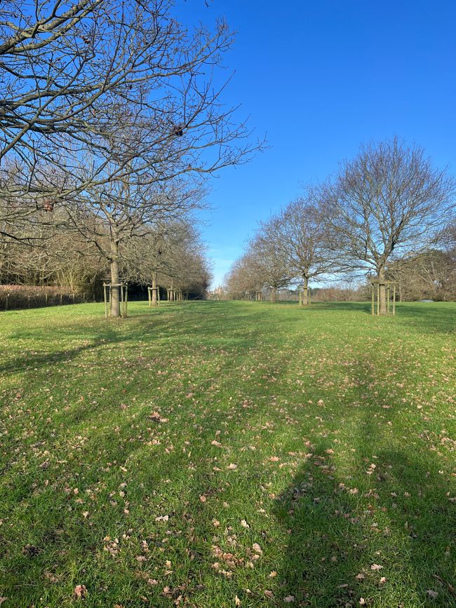 The view looking back up towards Waddesdon Manor