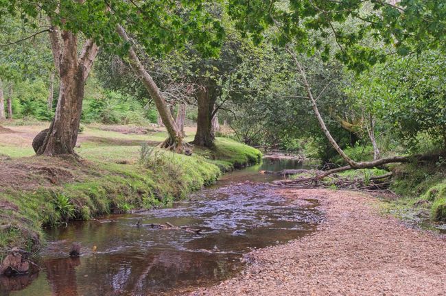 A river that is very low showing the bed on one side