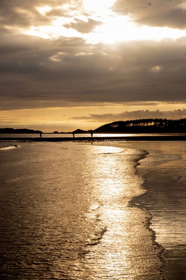 Three people walking along the beach at sunset with the waves at their feet