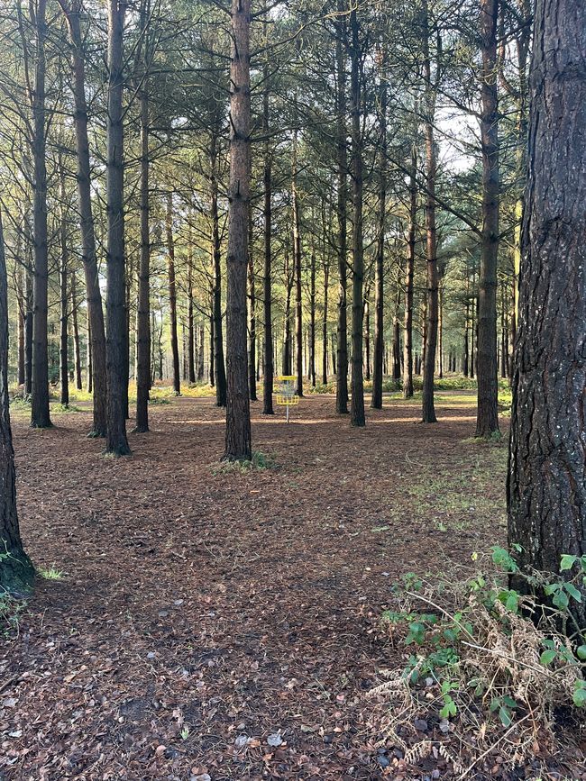 Sherwood Forest Frisbee Golf Course