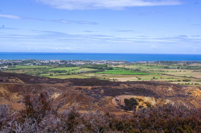 A view containing orange heather, green fields and the sea