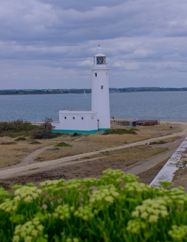 A white lighthouse in front of the sea, with yellow flowers covering the bottom